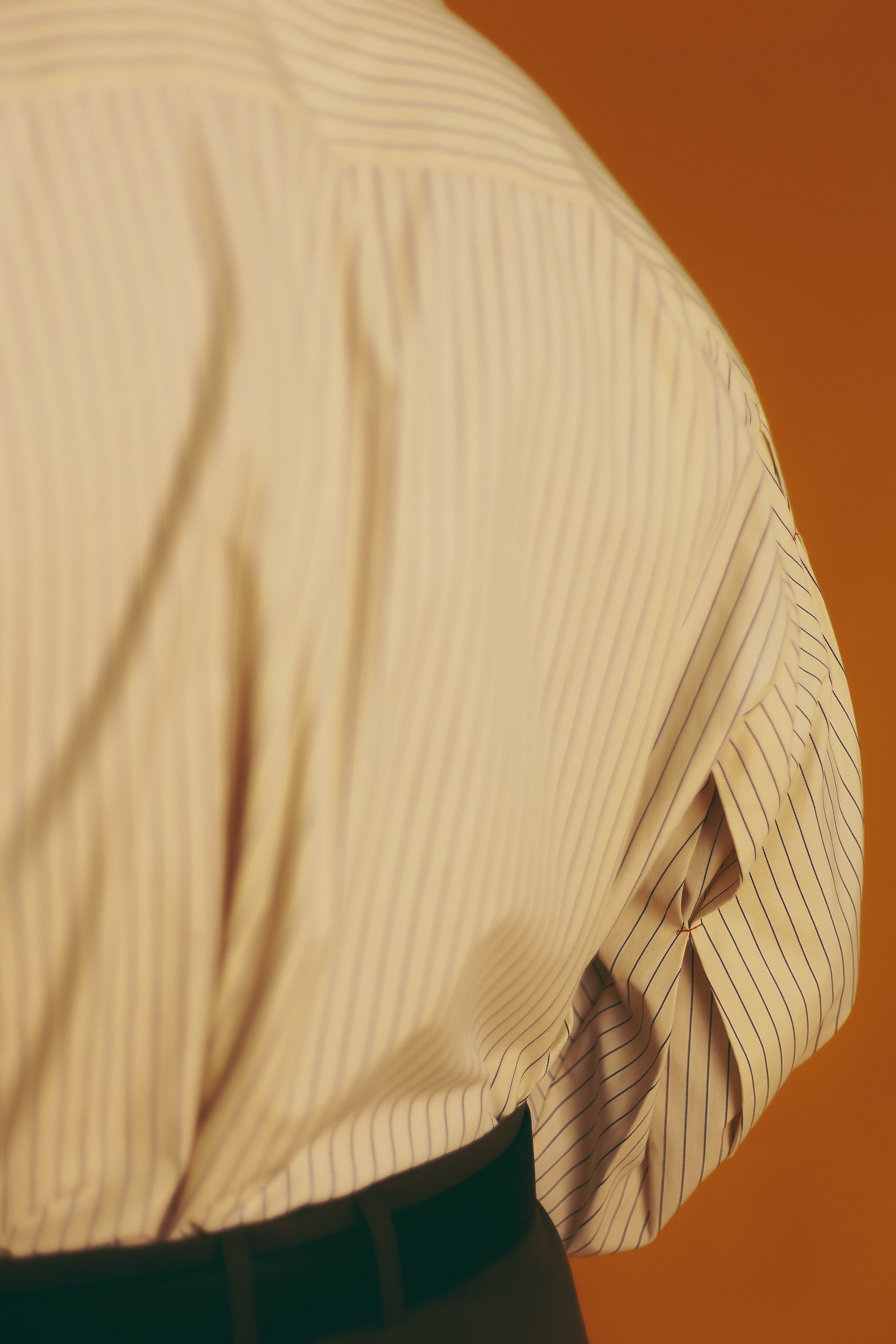 "Swan" Beige Shirt