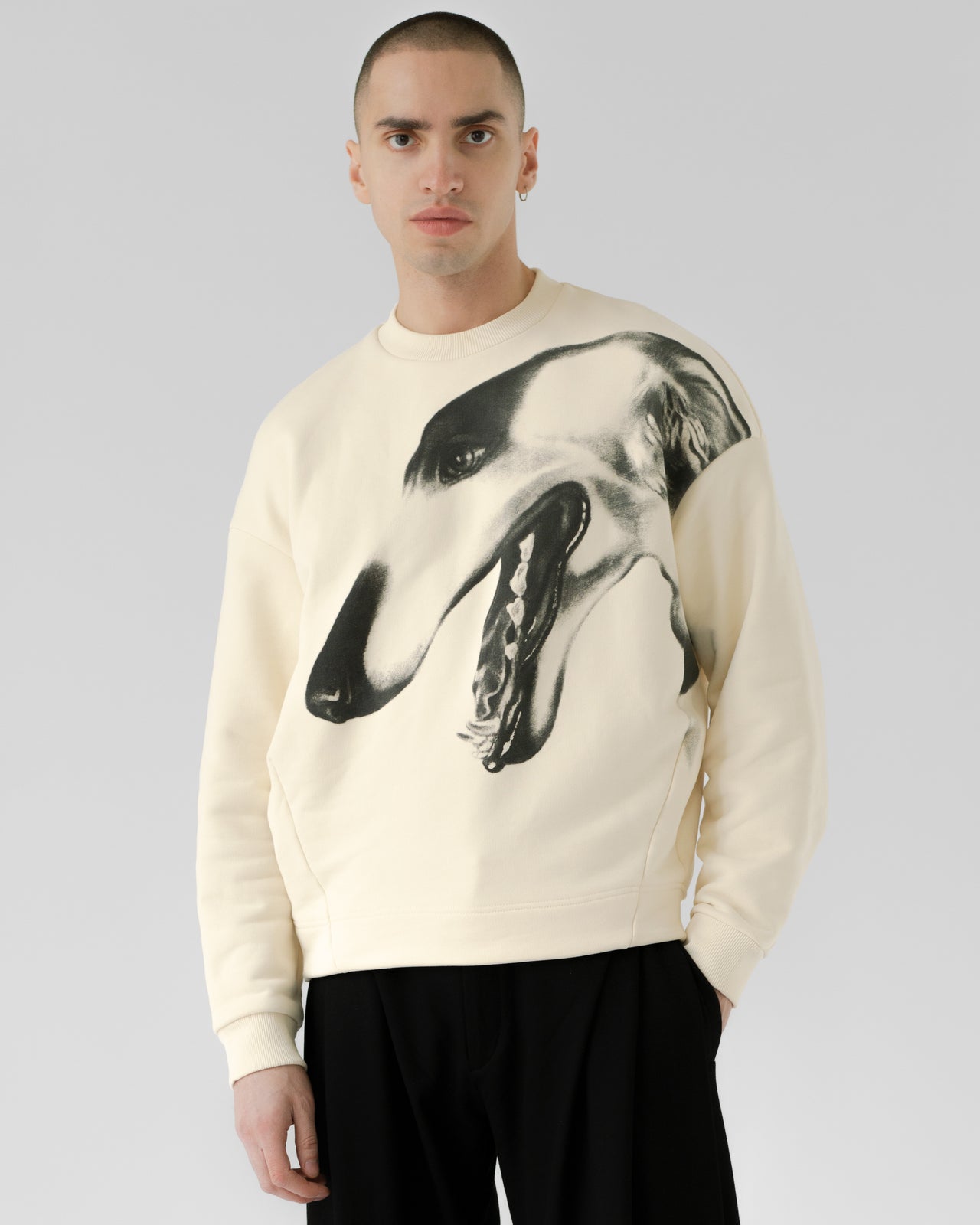 Sweatshirt with a print